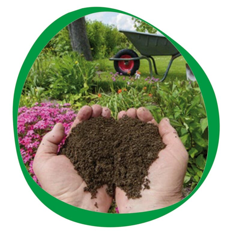 jardineria grupo MyZ